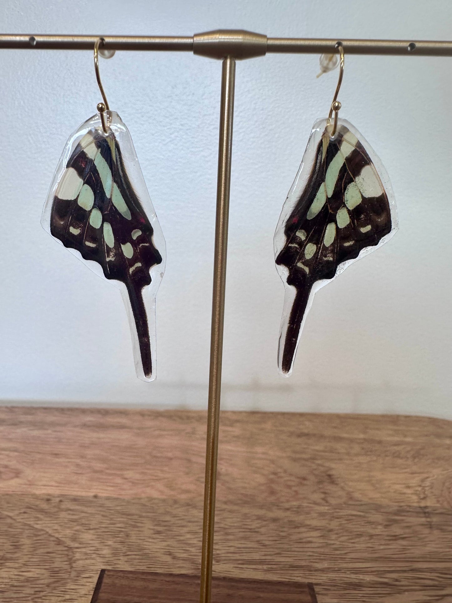 Real butterly wing earrings