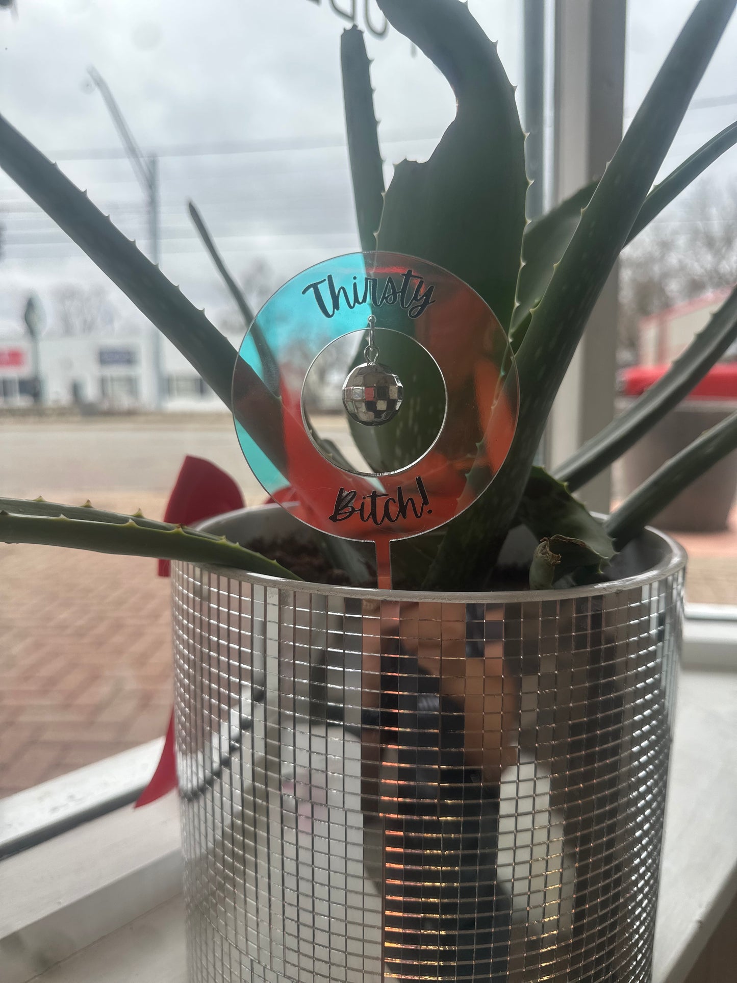 Disco Suncatcher Plant Spike